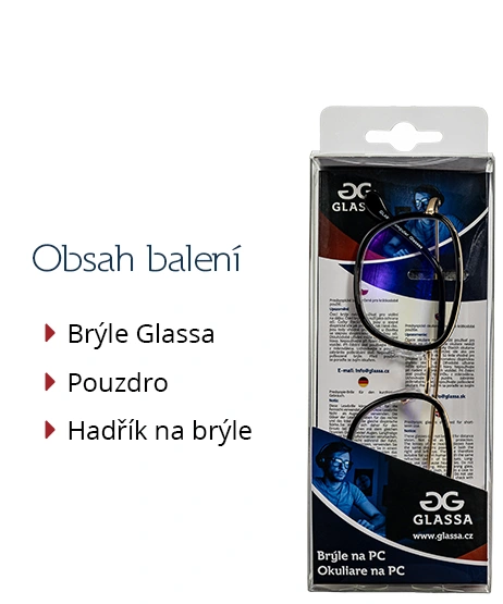 Brýle GLASSA na počítač typ PCG019 černé zlaté kovové obroučky